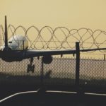 Ptak uderza w samolot co 24 minuty: czy powinieneś się obawiać?