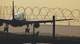 Ptak uderza w samolot co 24 minuty: czy powinieneś się obawiać? BIZNES, Lotnictwo - ​Strajk pracowników to druga najbardziej wyniszczająca sytuacja w lotnictwie. Pierwsze miejsce zajmują zderzenia z ptakami, które mogą poważnie uszkodzić samolot. Eksperci Skycop przeanalizowali te podniebne incydenty.